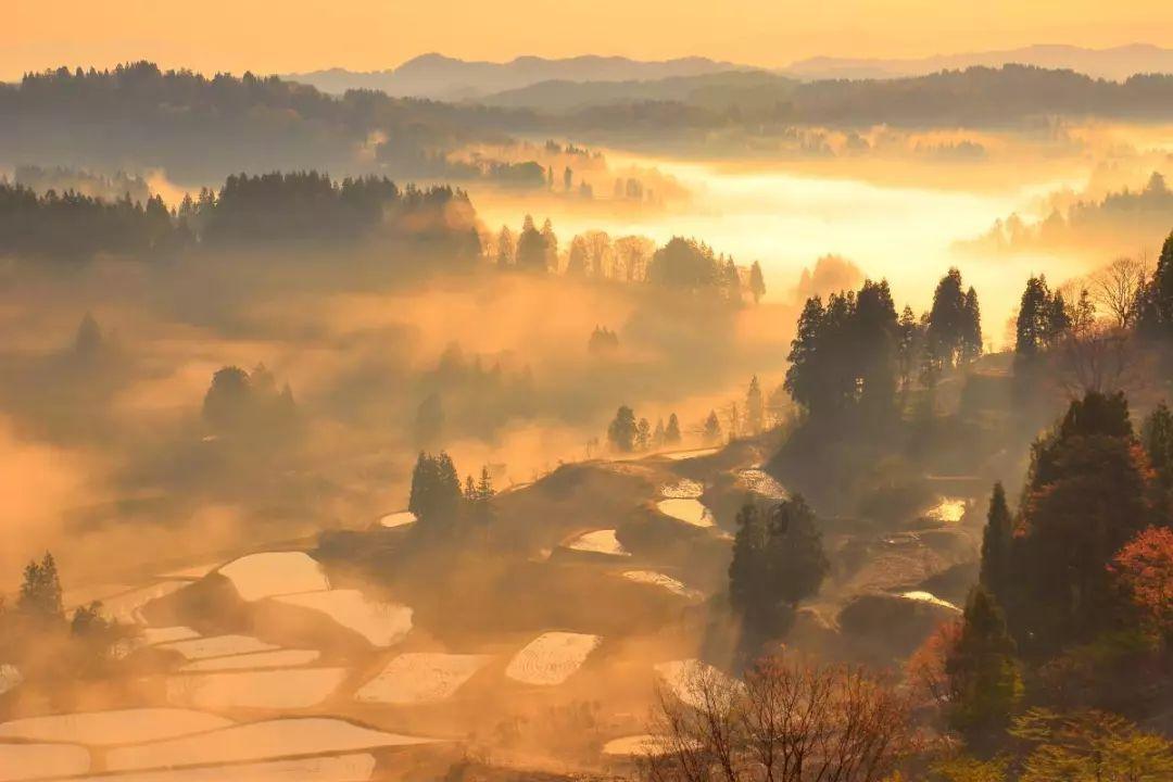 帝国：全面战争