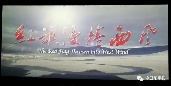 娱乐圈中的“切错号”乌龙：尴尬与笑料齐飞