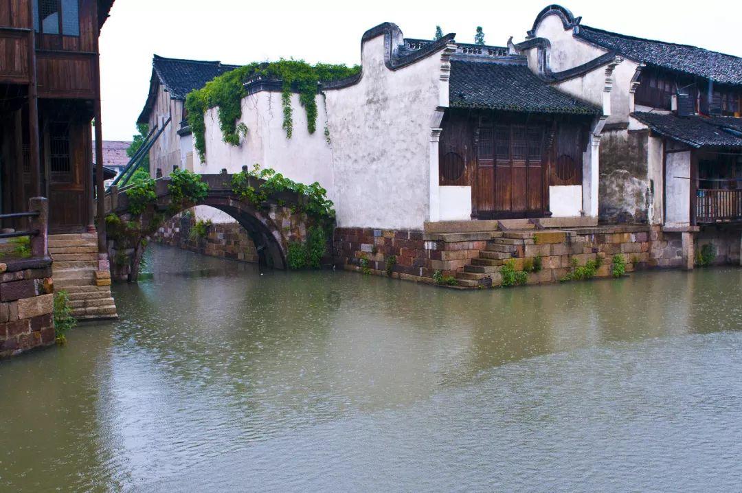 三小只僵尸的游戏时间9